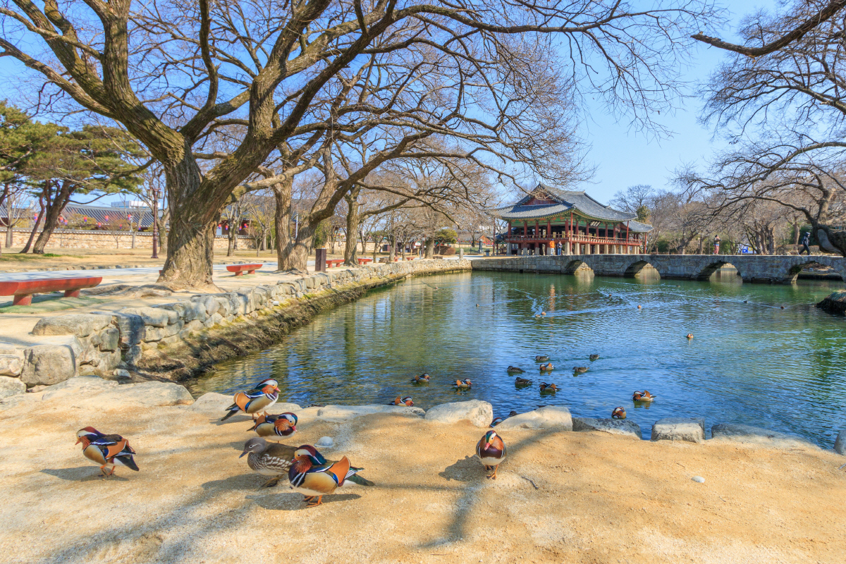 로컬리즘 투어의 찐 매력 '남원'…미식 열차에 몸 싣고, 지리산의 맛 기…