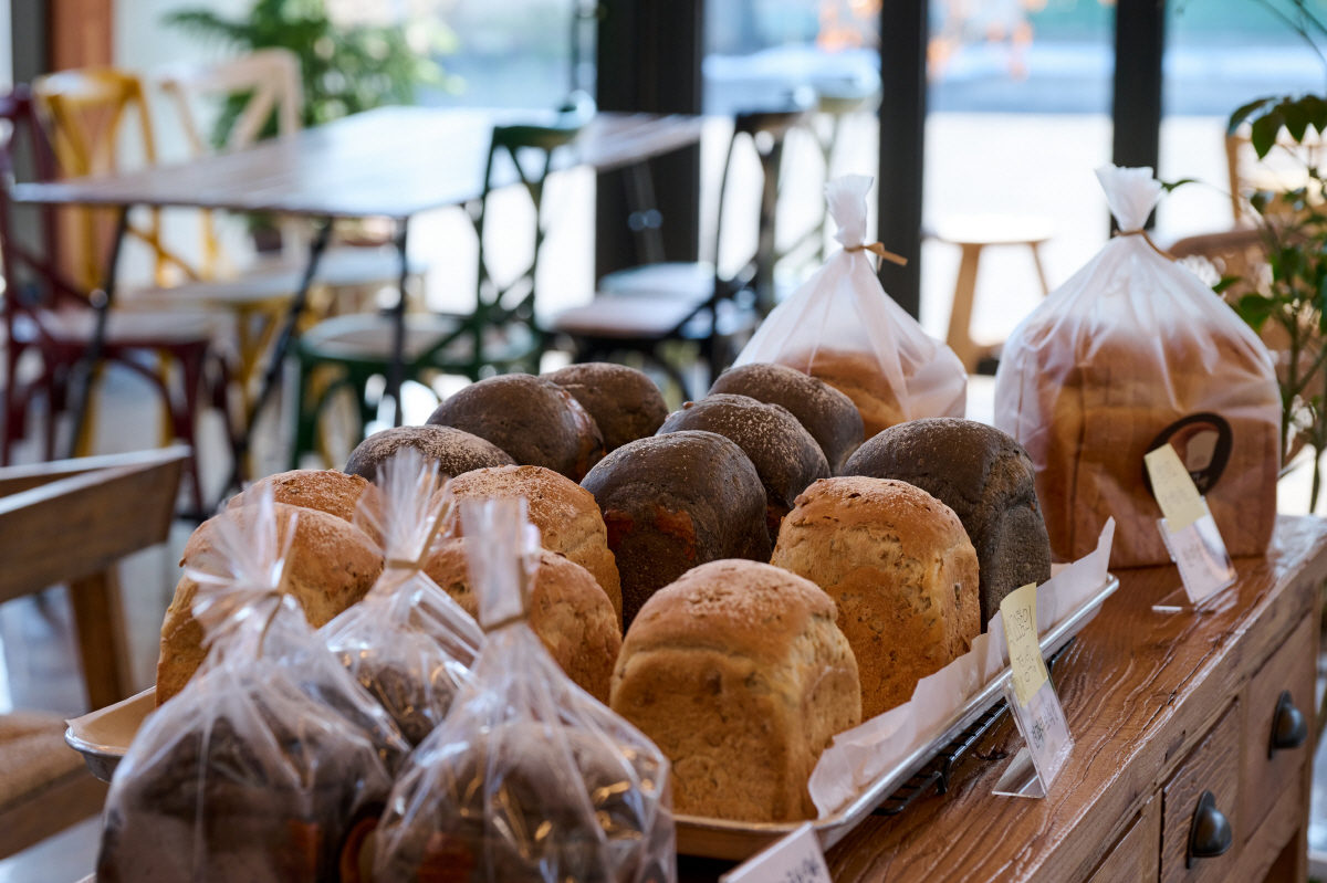 로컬리즘 투어의 찐 매력 '남원'…미식 열차에 몸 싣고, 지리산의 맛 기…