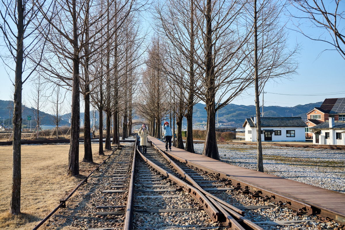 로컬리즘 투어의 찐 매력 '남원'…미식 열차에 몸 싣고, 지리산의 맛 기…