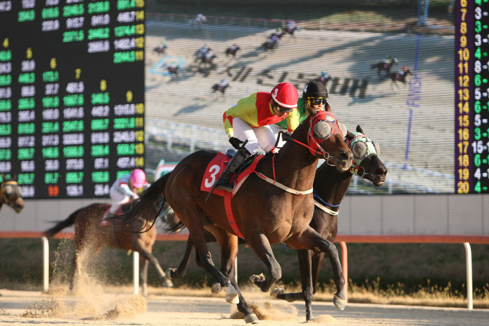 [경마]'관록vs패기' 주로 위에 펼쳐질 뜨거운 승부, 승자는