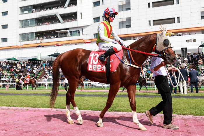 [경마]'관록vs패기' 주로 위에 펼쳐질 뜨거운 승부, 승자는