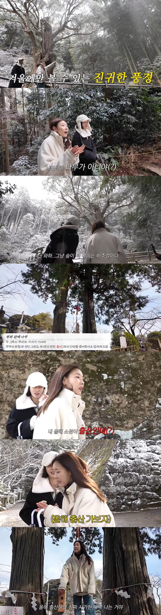 '공개연애 2번' 한혜진, ♥새 남친 생겼나 "올해 소원은 출산" ('한…