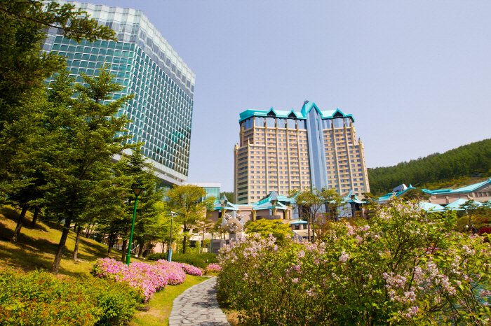 "어린이 천국" 하이원리조트, 키즈 웰니스ㆍ생일 패키지 등 마련