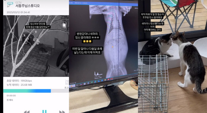 ‘4살 연하♥’ 서동주 “셋 임신. 어떡하죠?”..새 생명 탄생 앞둔 길…