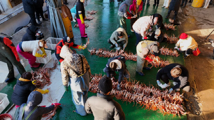 김청, 결혼 3일 만 이혼→도피 잠적 "행복한 가정 꿈꿨는데, 마음 아파…