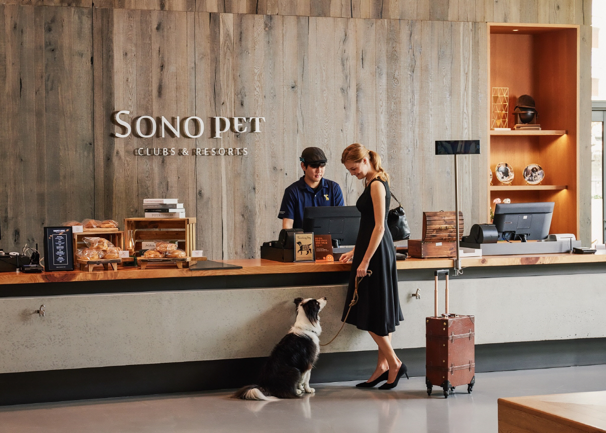 소노인터내셔널, 소노펫 비발디파크 랜선위크 기획전 선보여