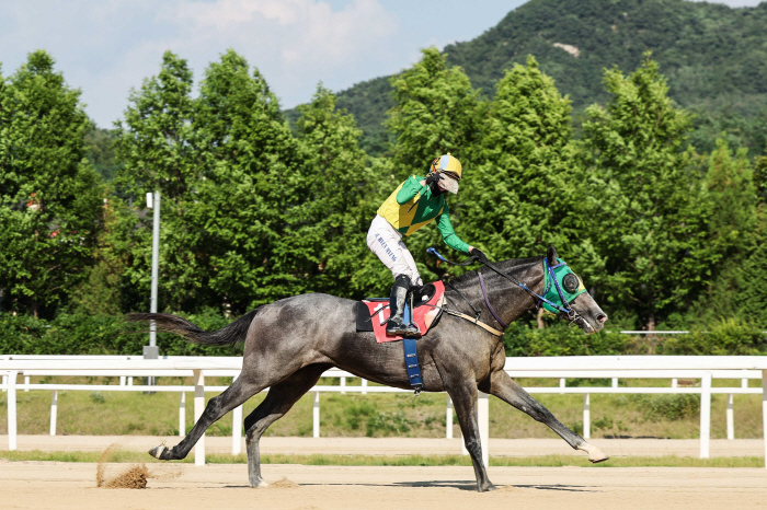 [경마]강자 대거 출동! 스테이어 시리즈 첫 관문 승자는