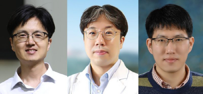 "유산균, 자궁경부암 발생 예방에 중요한 역할"