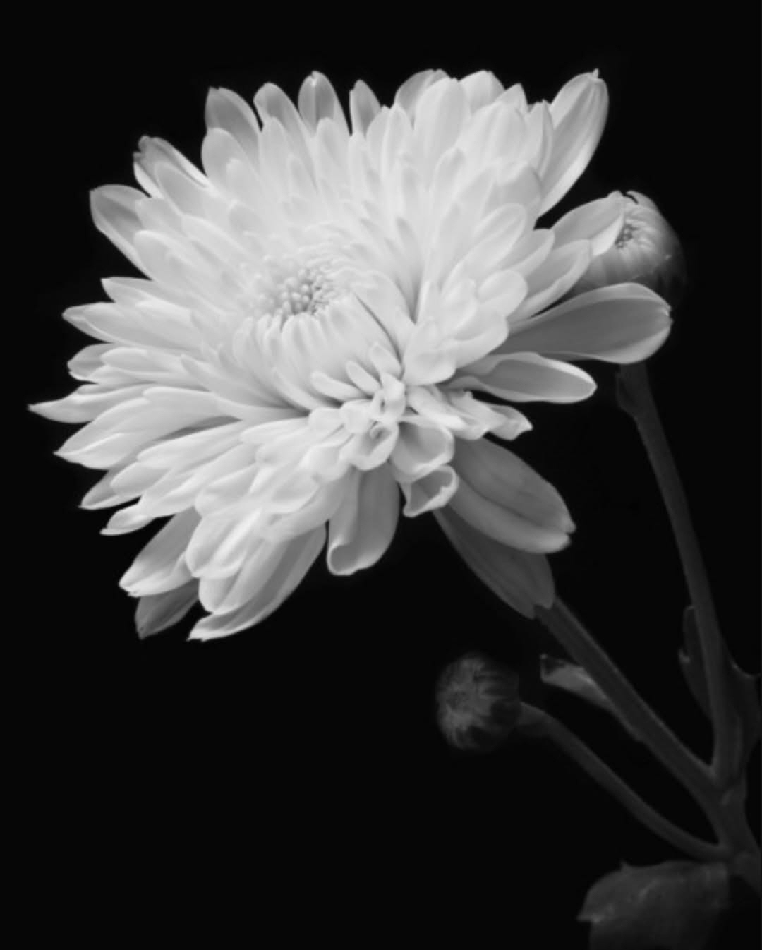 god 김태우, 故휘성 빈소 찾아 '오열'...슬픔 더한 영정사진 속 미…