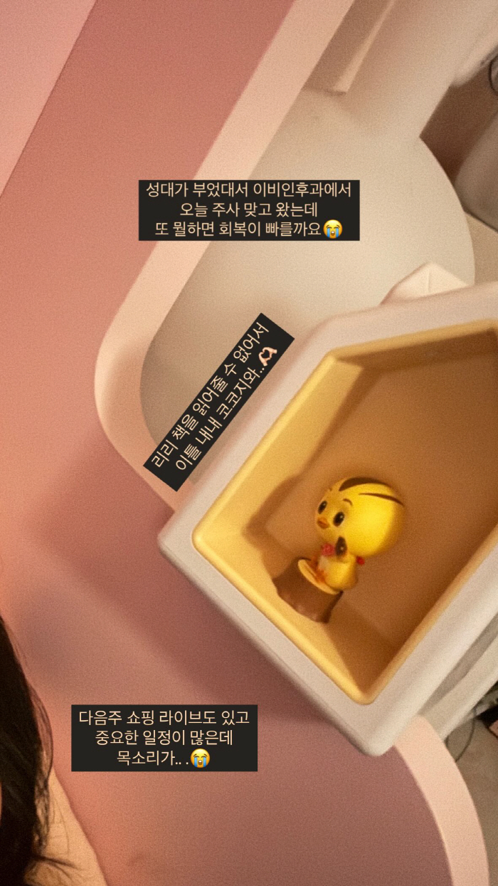 '건강이상 호소' 이다은, 子 출산 6개월만 안타까운 소식 전했다..."…