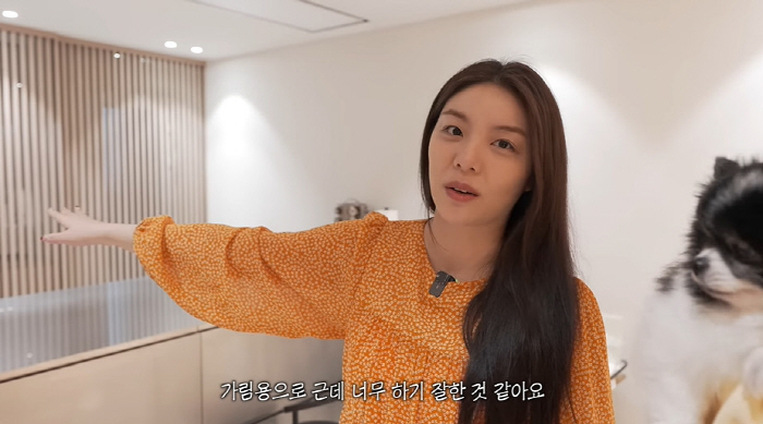 에일리♥최시훈, 사우나 있는 신혼집 공개...자녀방까지 마련 "힘 많이 …