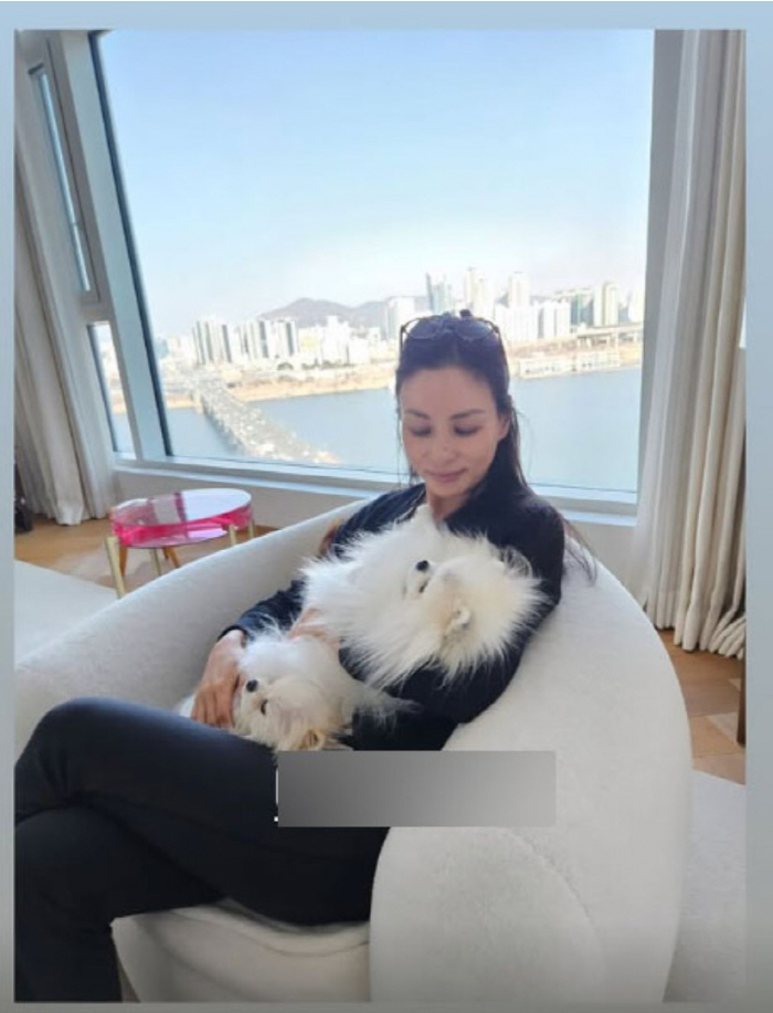 ‘장동건♥’ 고소영, 초호화 164억 펜트하우스 일상..한강뷰 등지고 힐링타임