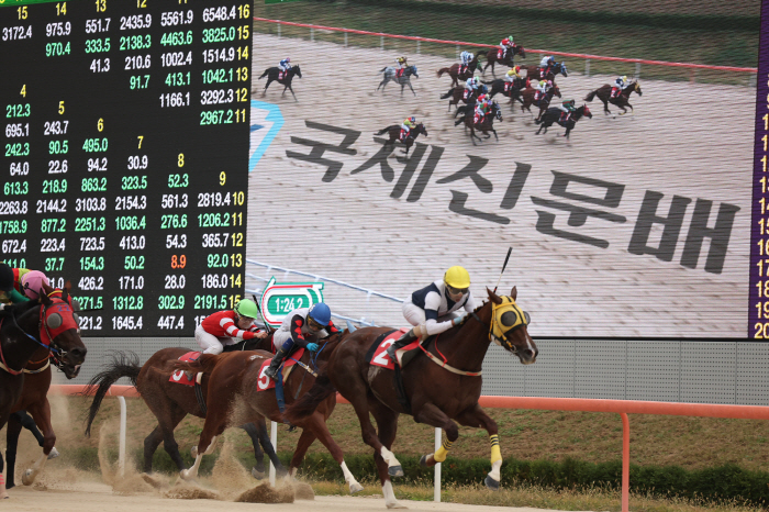 [경마]상반기 퀸즈투어 첫 관문 열린다…최강 암말은 누구