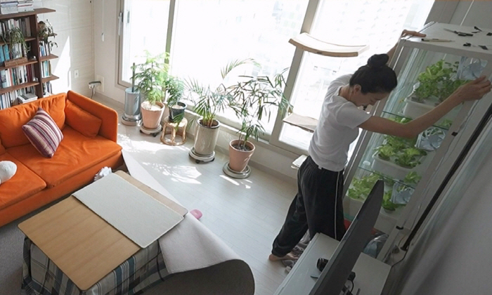 서울대 출신 배우 옥자연, 가수 선우정아에 "미안합니다" 급사과한 이유(…