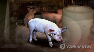 정남진 장흥 전국마라톤대회 취소…