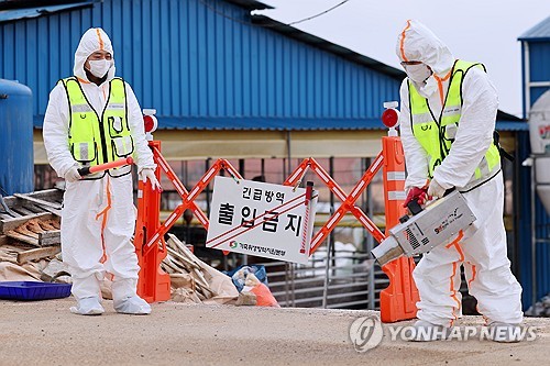 끊이지 않는 구제역…전남도, 발생농장 백신 추가 접종