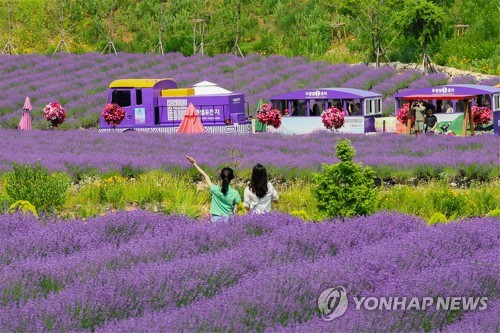 봄 여행지로 동해시 어때?…관광객 유치 광폭 행보