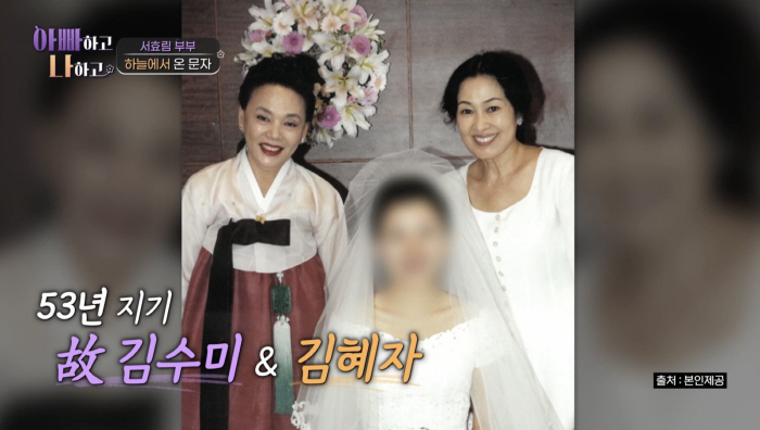 "수미야 보고 싶다"..시청자 울린 김혜자의 문자 메시지 "이담에 또 만…