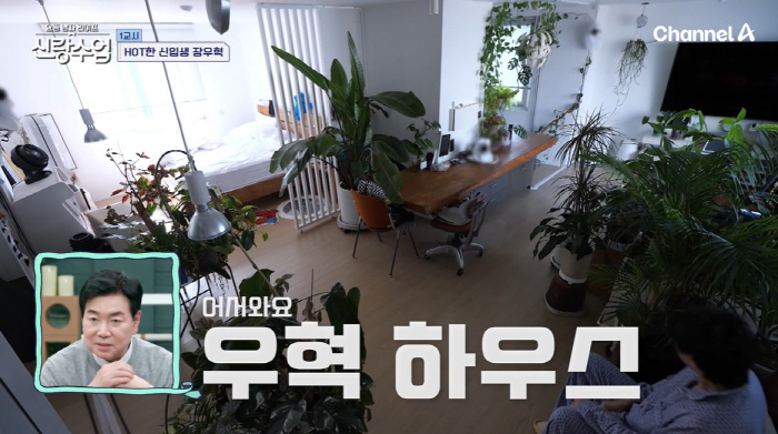 H.O.T. 장우혁, 알고보니 200억 건물주..."6층 건물에 스킨 케…