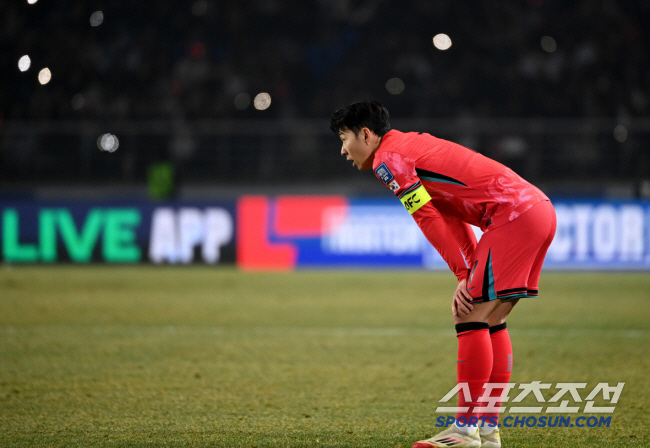 '나라망신 잔디' 문체부X프로축구연맹,K리그 27곳 잔디 전수조사...체육기금 지원[오피셜]