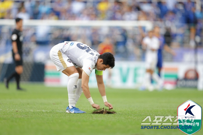 '나라망신 잔디' 문체부X프로축구연맹,K리그 27곳 잔디 전수조사...체…