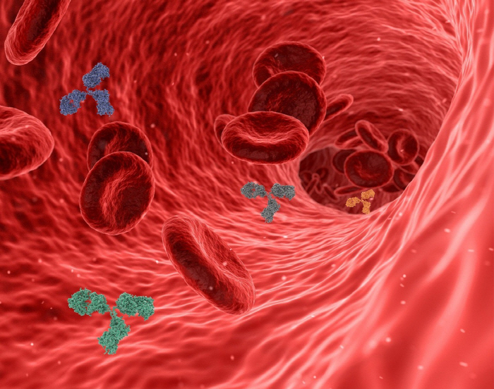 "HPV 양성, 심장병 가능성 40% 높아…관상동맥질환 위험도 2배"