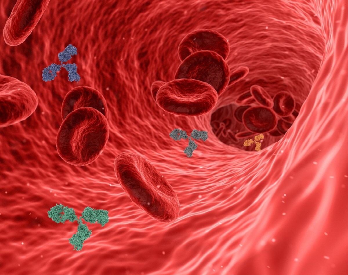 "HPV 양성, 심장병 가능성 40% 높아…관상동맥질환 위험도 2배"