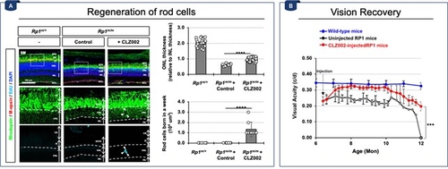 [KAIST 제공. 재판매 및 DB 금지]