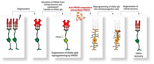 [KAIST 제공. 재판매 및 DB 금지]