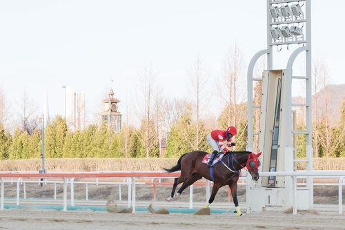 문세영 기수, 거침없이 2,000승 대기록 달성…아홉수 언급할 틈도 없었다