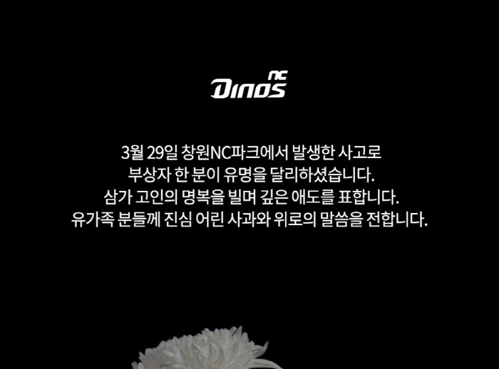 20대 관중 사망 소식에 NC 구단 애도 "진심 어린 사과와 위로 전해"