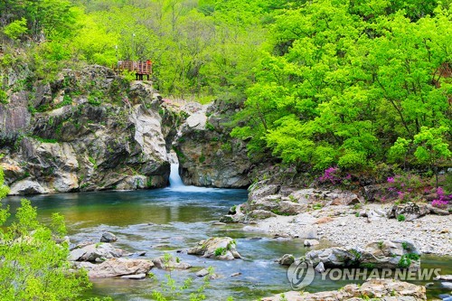 '청정 자연을 한눈에' 양구군, 두타연 안보 관광 재개