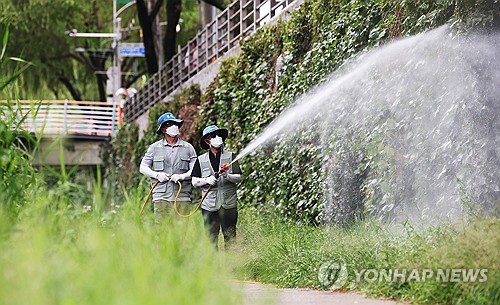 '일본뇌염 주의보' 발령…울산 보건당국 "사전예방 철저히 해야"