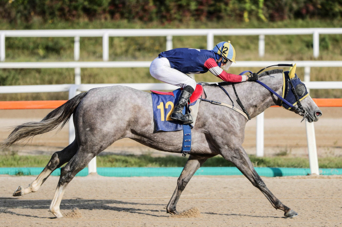 [경마]삼관경주 6일 스타트, 새로운 스타 탄생?