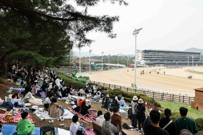 [경마]렛츠런파크 서울 벚꽃축제 축소 시행