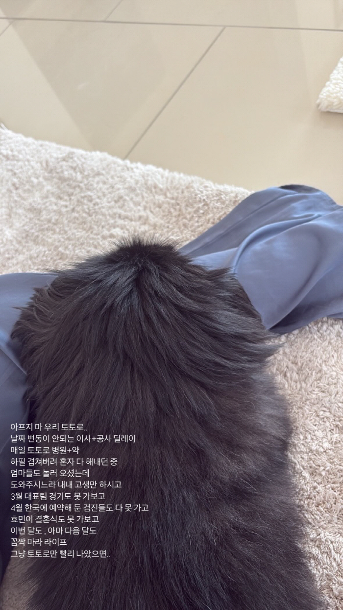 티아라 소연, 효민 결혼식 불참한다..♥조유민 따라간 두바이서 "꼼짝 마…