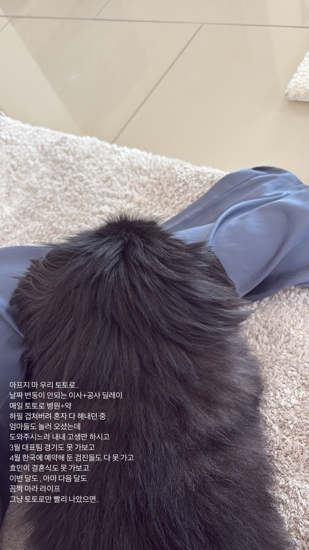 티아라 소연, 효민 결혼식 불참한다..♥조유민 따라간 두바이서 "꼼짝 마…