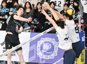 '100% 확률' 현대캐피탈 vs '벼랑 끝' 대한항공…챔프 3차전은