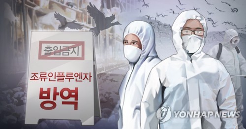 청주 육용오리 농장서 AI…고병원성 여부 검사
