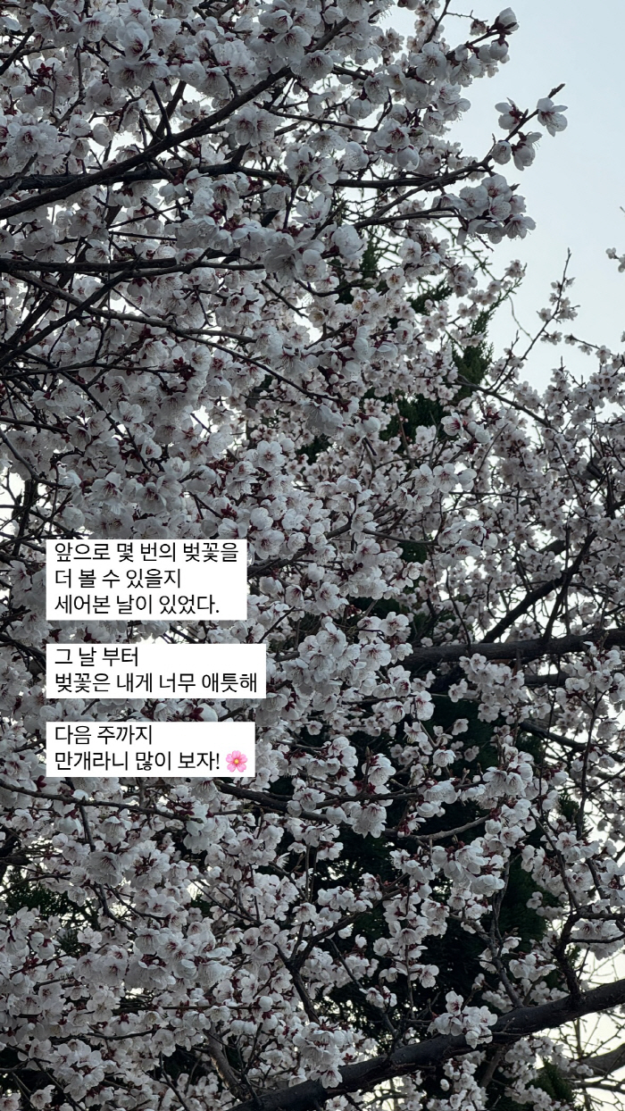 '박성광♥' 이솔이, 여성암 치료 중 안타까운 고백..."몇 번의 벚꽃 …
