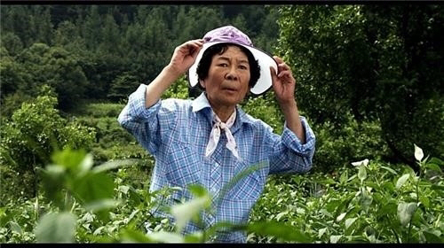 故김진구, '함부로 애틋하게' 촬영 귀가 중 사망...연기파 배우의 9주…