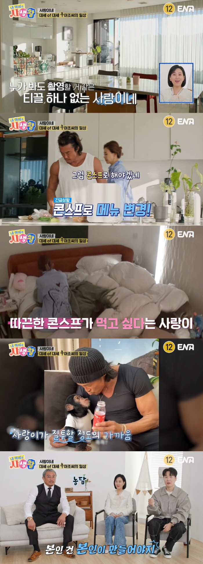 추성훈, 50대에 늦둥이 낳나..야노시호 "둘째 원해, 너무 예쁠 듯" …