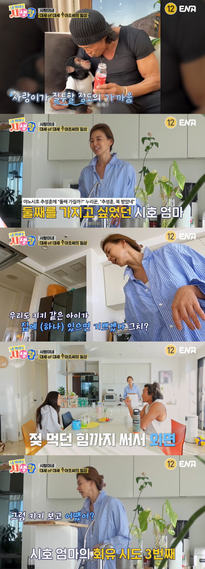 추성훈, 50대에 늦둥이 낳나..야노시호 "둘째 원해, 너무 예쁠 듯" …