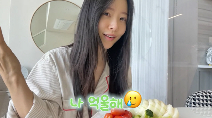'박성광♥' 이솔이, 암 투병 후 남은 상처…"혈관 다 녹아"(이솔이)