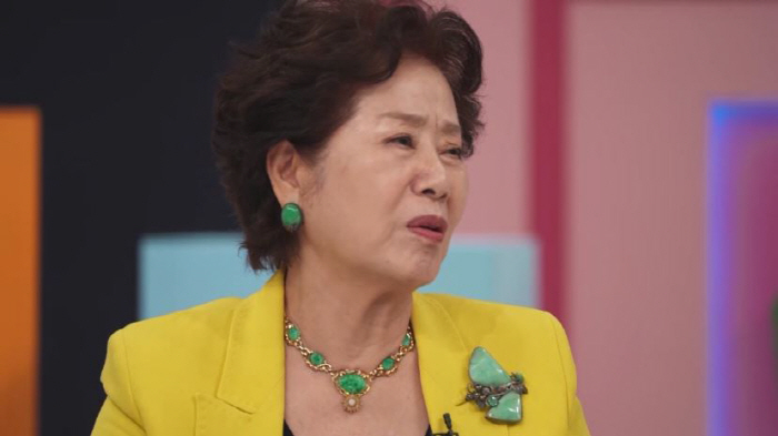 선우용여 "사위와 말 안 통해, 파리 여행서 명품 매장 안 가더라"('선넘패')
