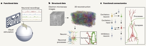 [Nature / Nuno Macarico da Costa et al. 제공. 재판매 및 DB 금지]