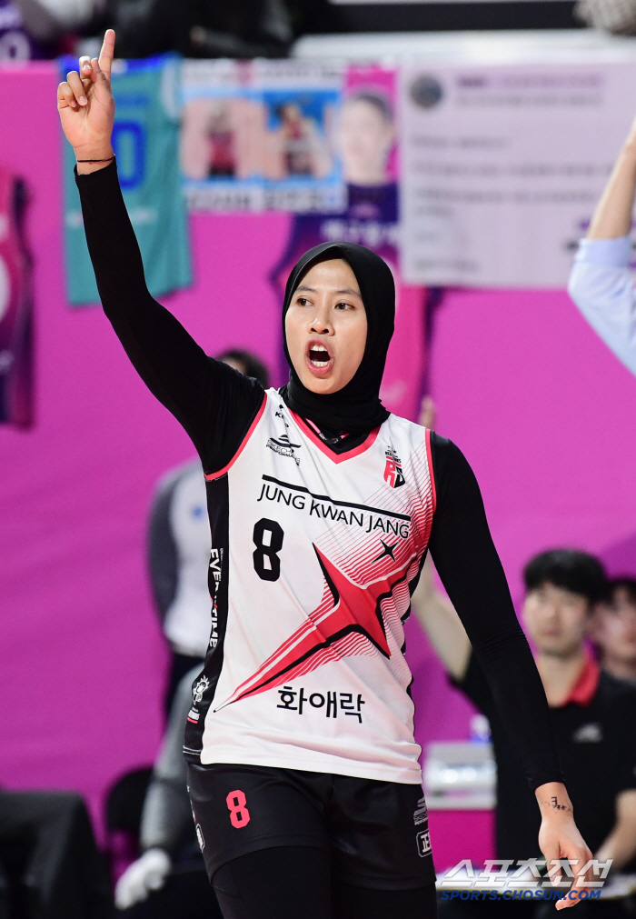 '메가 히트' 성공사례와 '개봉박두' 프로야구 아쿼제, 시야의 확장이 필요하다[SC시선]