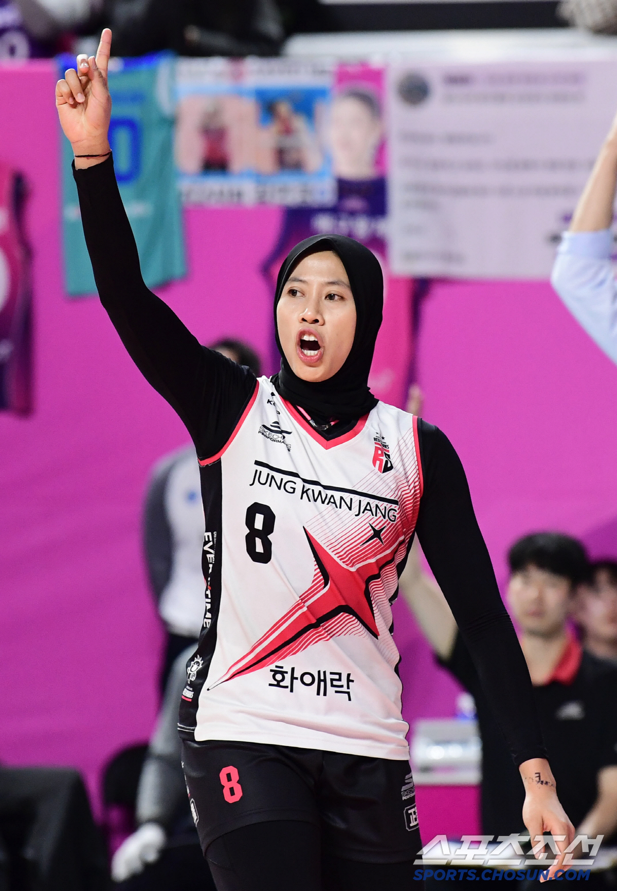 '메가 히트' 성공사례와 '개봉박두' 프로야구 아쿼제, 시야의 확장이 필…