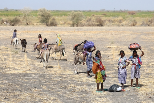 (렌크[남수단]=연합뉴스) 성도현 기자 = 지난달 27일(현지시간) 수단과의 접경 지역인 남수단 렌크 지역에서 수단 난민 가족들이 짐을 꾸려 도보로 남수단으로 향하고 있다. 2025.4.11 raphael@yna.co.kr