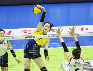 프로배구 여자부 FA 협상 시작…'C등급' 최대어 이다현 행선지는